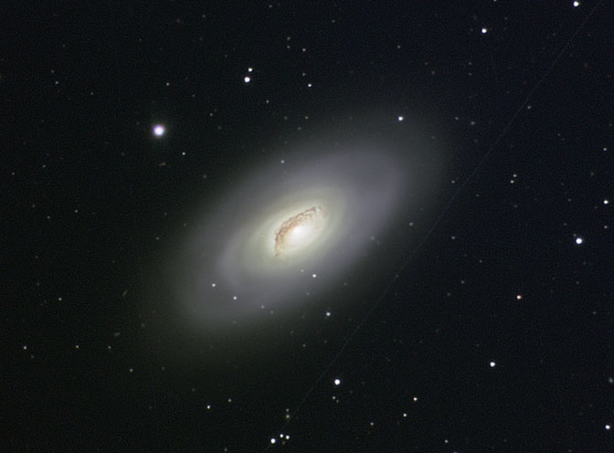 M64