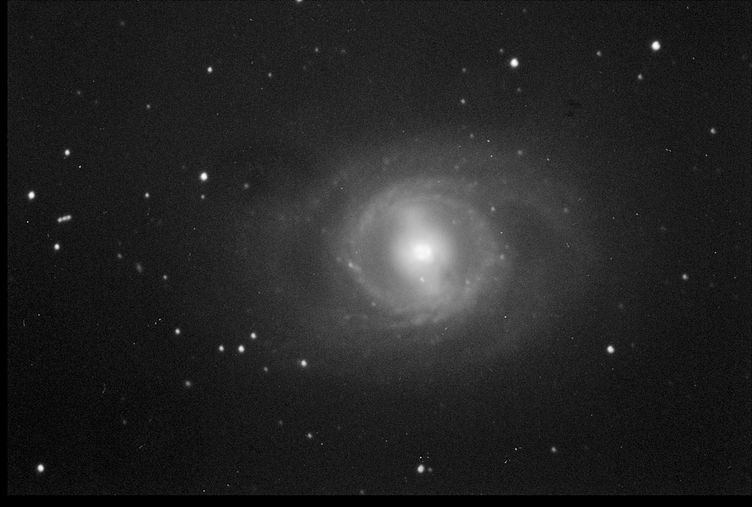 M95 & Goi
