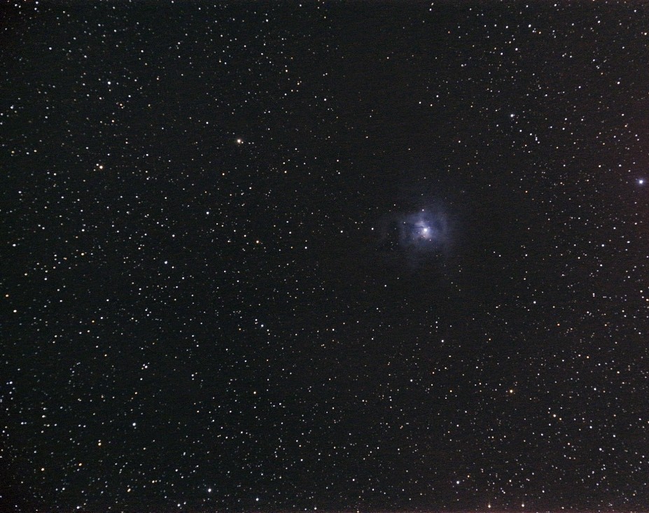 NGC7023 - Iris Nebula