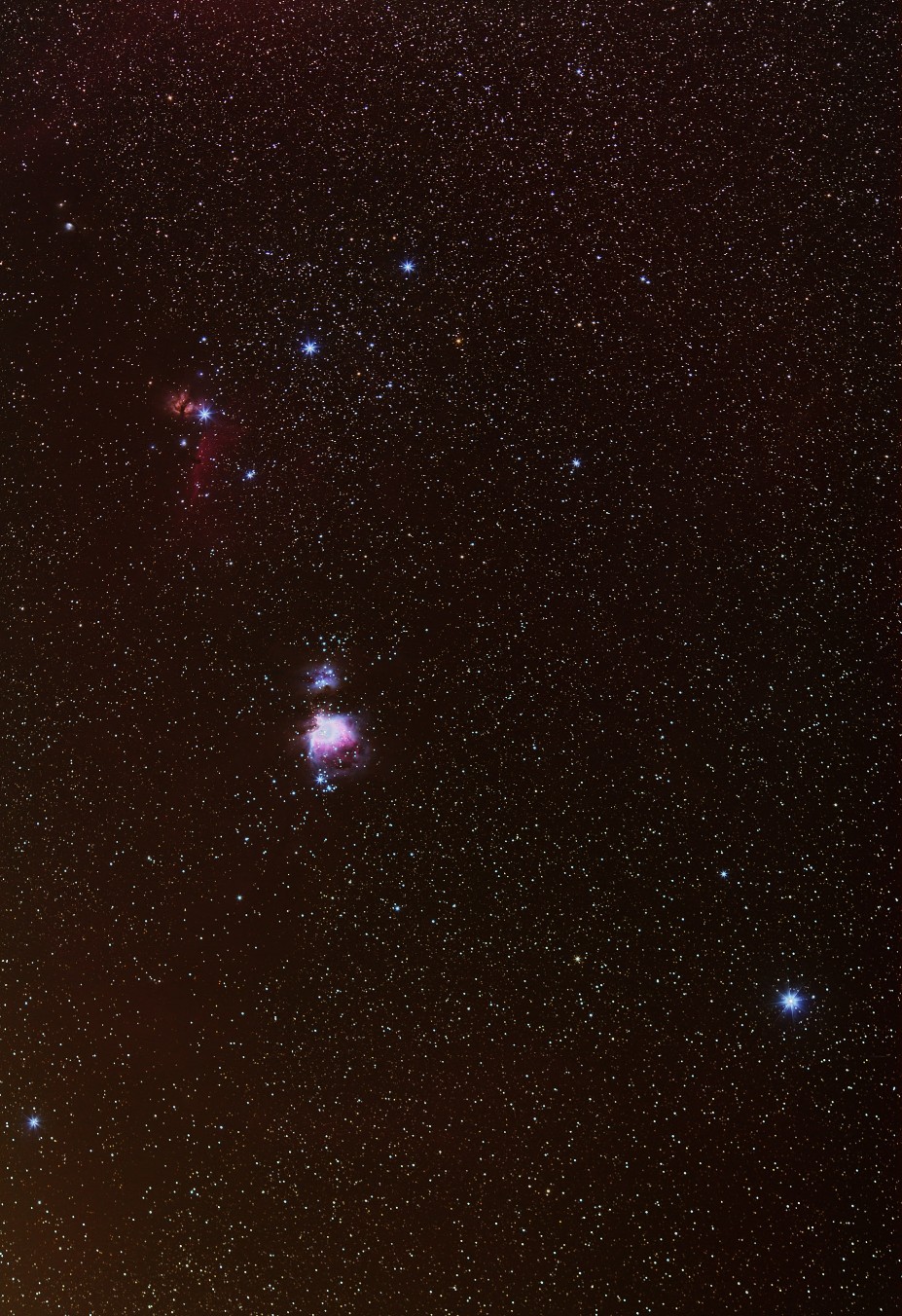 Orion