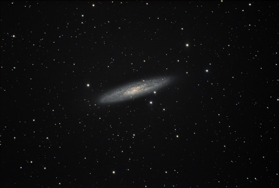 NGC253