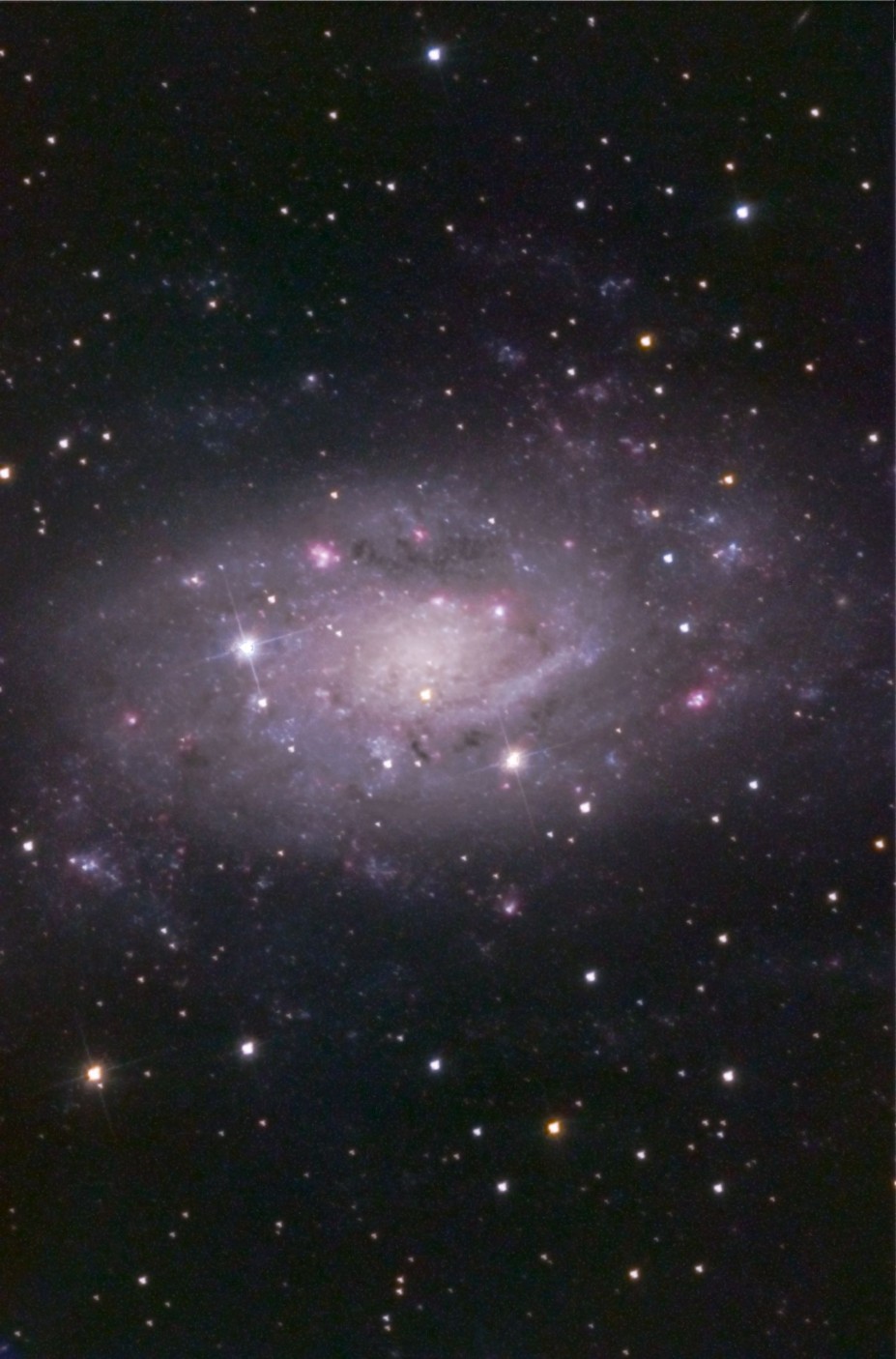 NGC2403