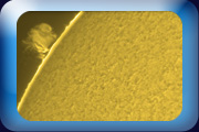 sun