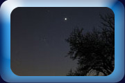 Venus & Taurus
