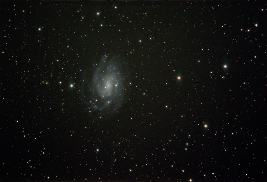 NGC300